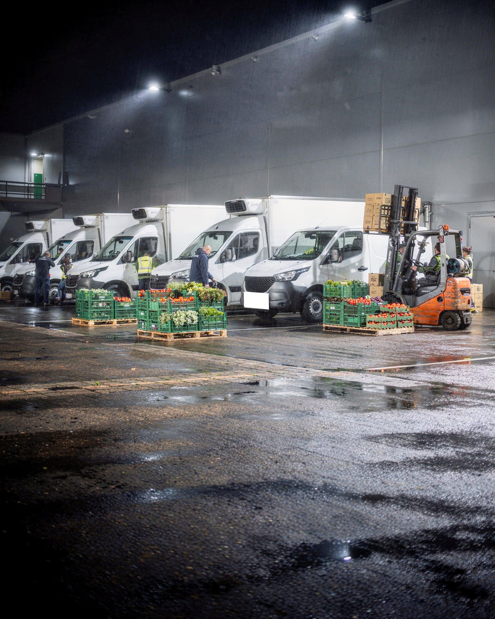 A row of white refrigerated vans at a lit loading dock at night, crates of vine tomatoes and herbs on pallets in front and a forklift loading
